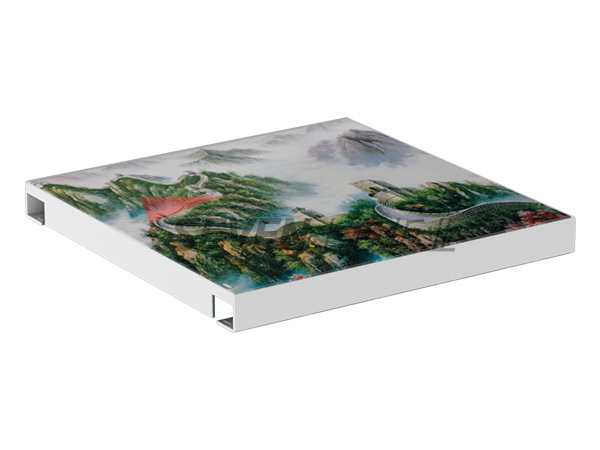 Printed aluminum veneer