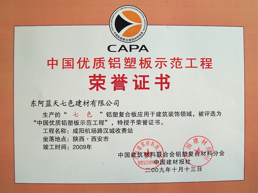 Demonstration Project Xianyang Airport Certificate